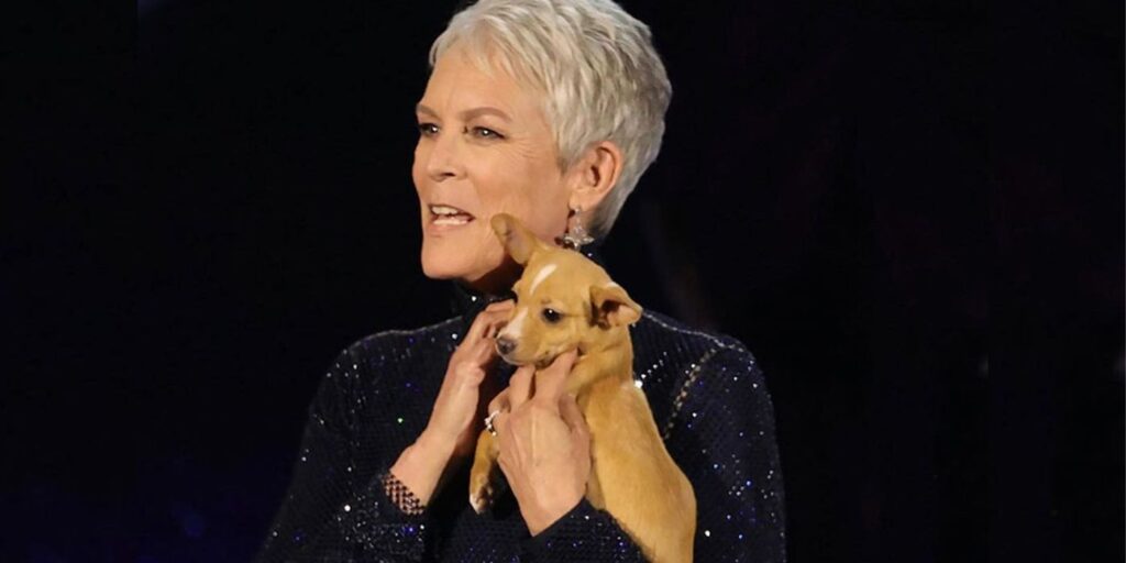 ¿Qué es la caridad de Jamie Lee Curtis? Mi mano en la tuya de RHOBH
