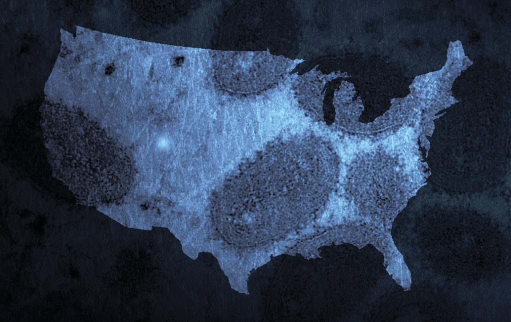 ¿Qué es la viruela del mono y dónde se propagan los casos? Mapa muestra brote en EEUU