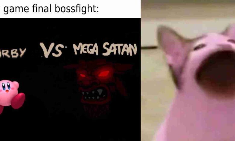 10 divertidos memes que resumen los juegos de Kirby