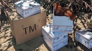 Multan a hombre de Hialeah de sacrificar animales en playa de Virginia Key