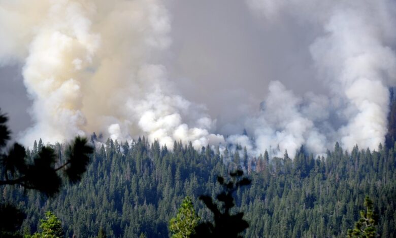 Incendio en Yosemite crece y amenaza el bosque de secuoyas gigantes