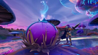Dónde encontrar (y romper) vainas de semillas de realidad en Fortnite Capítulo 3 Temporada 3