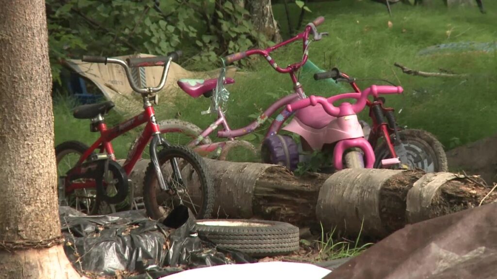 menor habría matado a sus hermanos y se quitó la vida