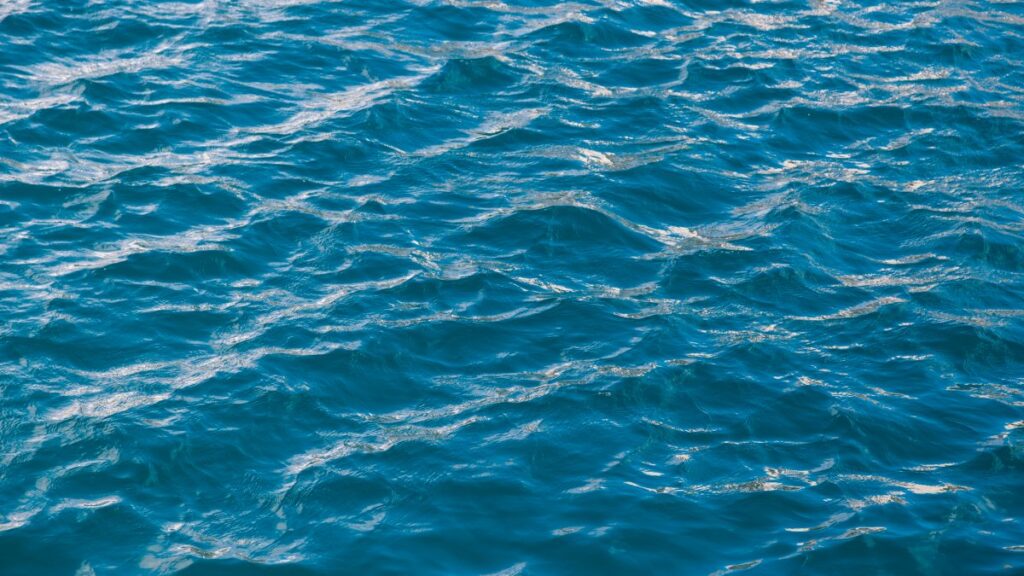 Recuperan cinco migrantes y 66 sobrevivientes tras naufragio en aguas al oeste de Puerto Rico