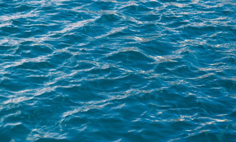 Recuperan cinco migrantes y 66 sobrevivientes tras naufragio en aguas al oeste de Puerto Rico