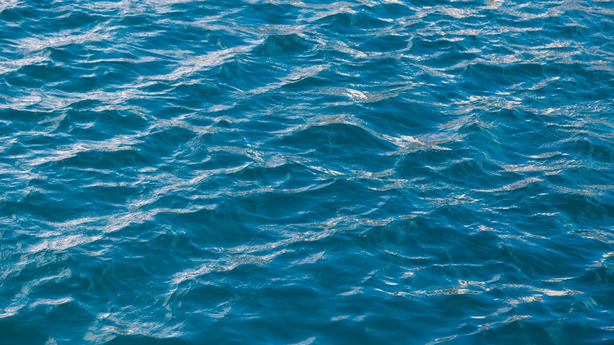 Recuperan cinco migrantes y 66 sobrevivientes tras naufragio en aguas al oeste de Puerto Rico