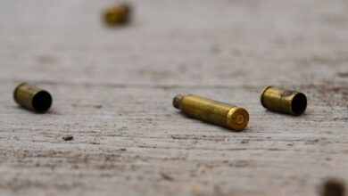 3 calcinados en Nayarit se relacionan con “desaparición masiva de personas” de 2017: Fiscalía