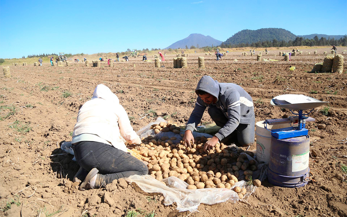AMLO busca fortalecer plan antiinflación: se mantendrá el subsidio a gasolinas y pone el ojo en aumento de precios de alimentos