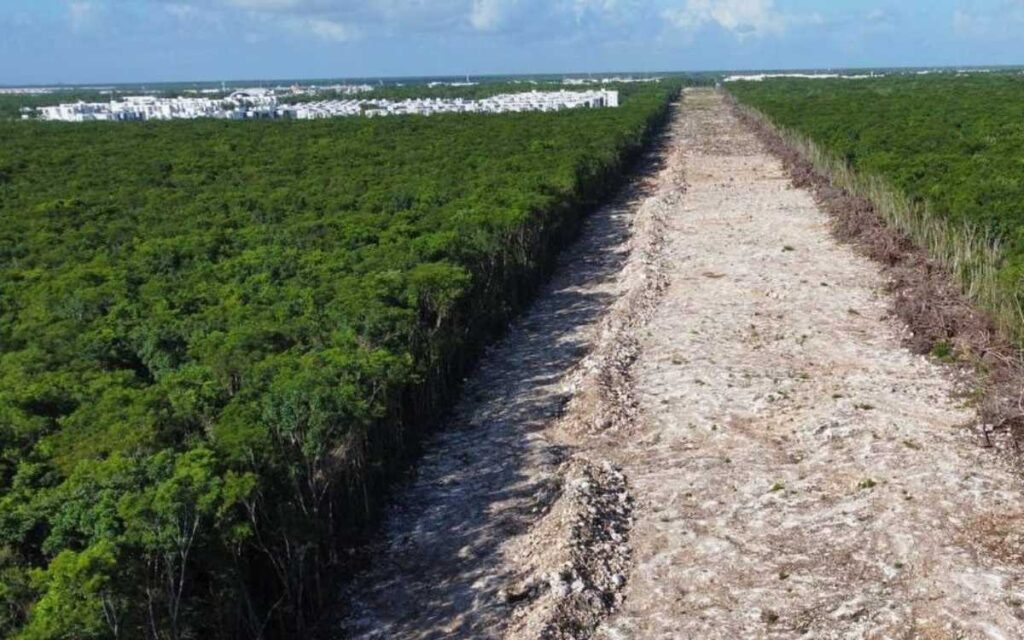 AMLO declara utilidad pública de terrenos para el Tren Maya y autoriza su ocupación temporal inmediata