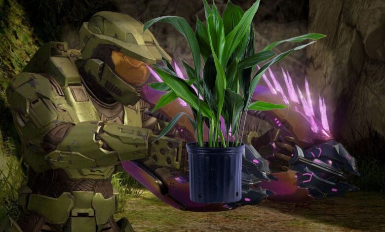 Animación de recarga de Needler de Halo recreada con una planta en maceta