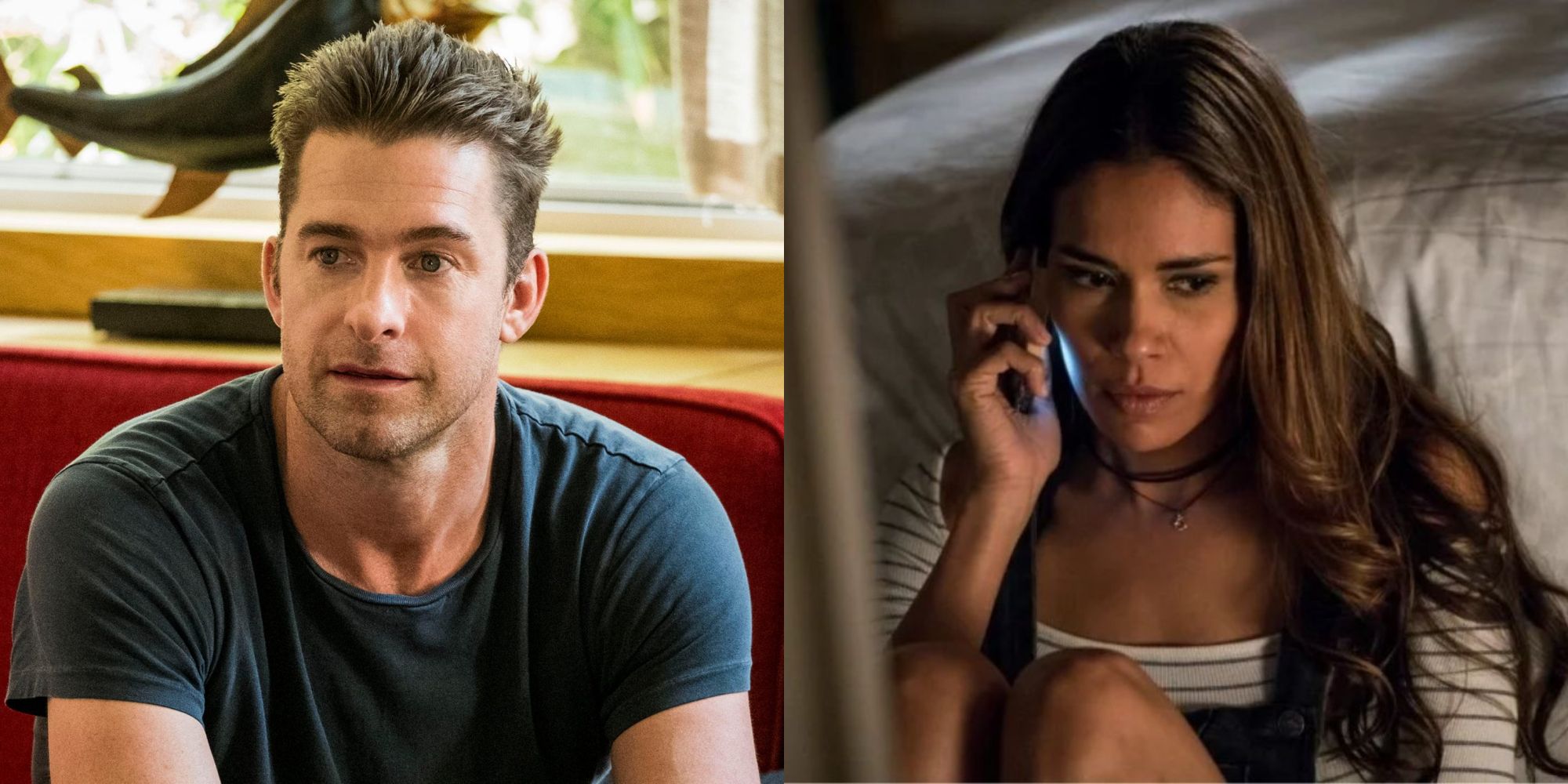 Animal Kingdom: los personajes principales, clasificados por poder