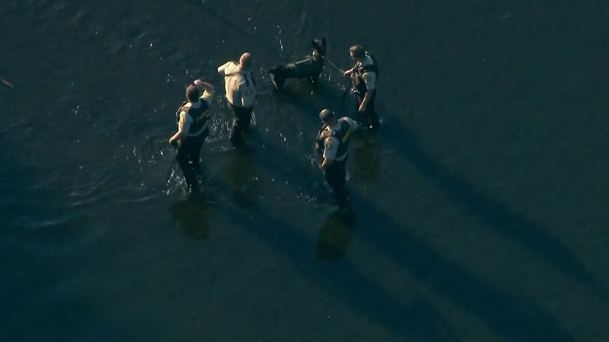 Apuñalan a cinco personas que gozaban de un pasadía en un río de Wisconsin