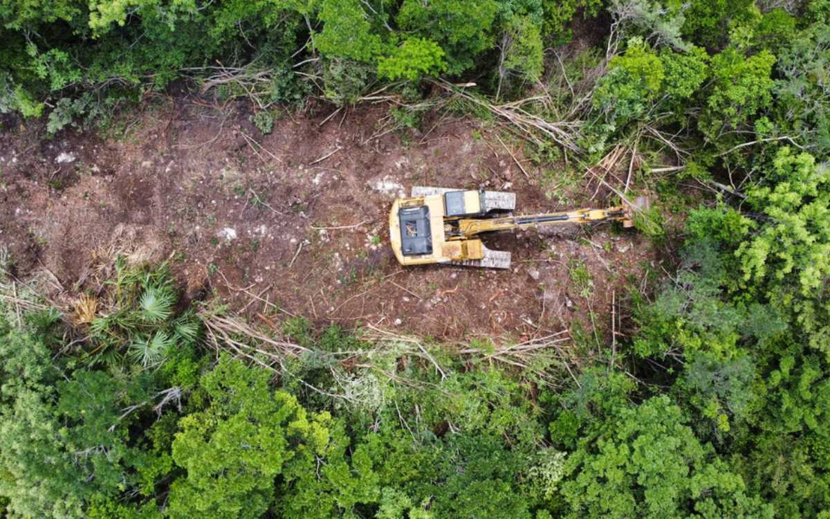 Busca Morena reforma para eliminar suspensiones a proyectos de la 4T