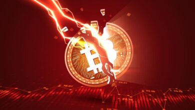 Caída del mercado cripto: cómo pueden las empresas recuperar la confianza