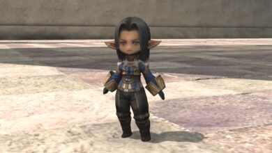 Cómo conseguir el Elvaan de cuerda en Final Fantasy XIV