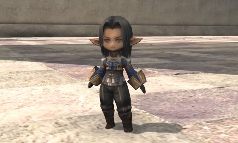 Cómo conseguir el Elvaan de cuerda en Final Fantasy XIV