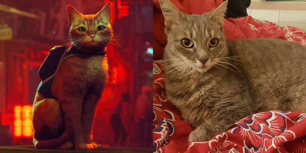 Cómo el actor de voz de Stray dio vida a su personaje principal