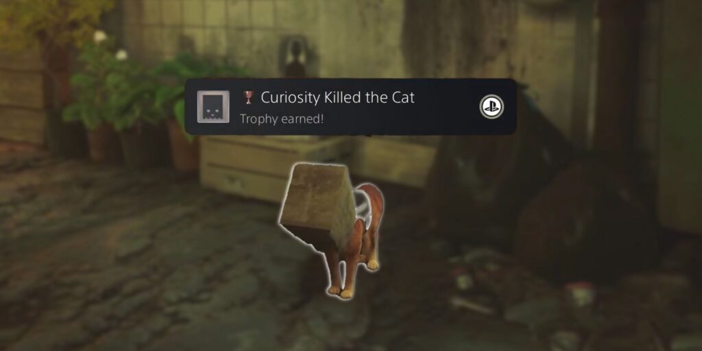 Cómo encontrar la bolsa de papel en Stray