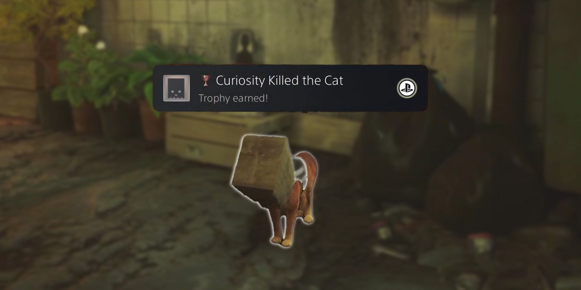 Cómo encontrar la bolsa de papel en Stray