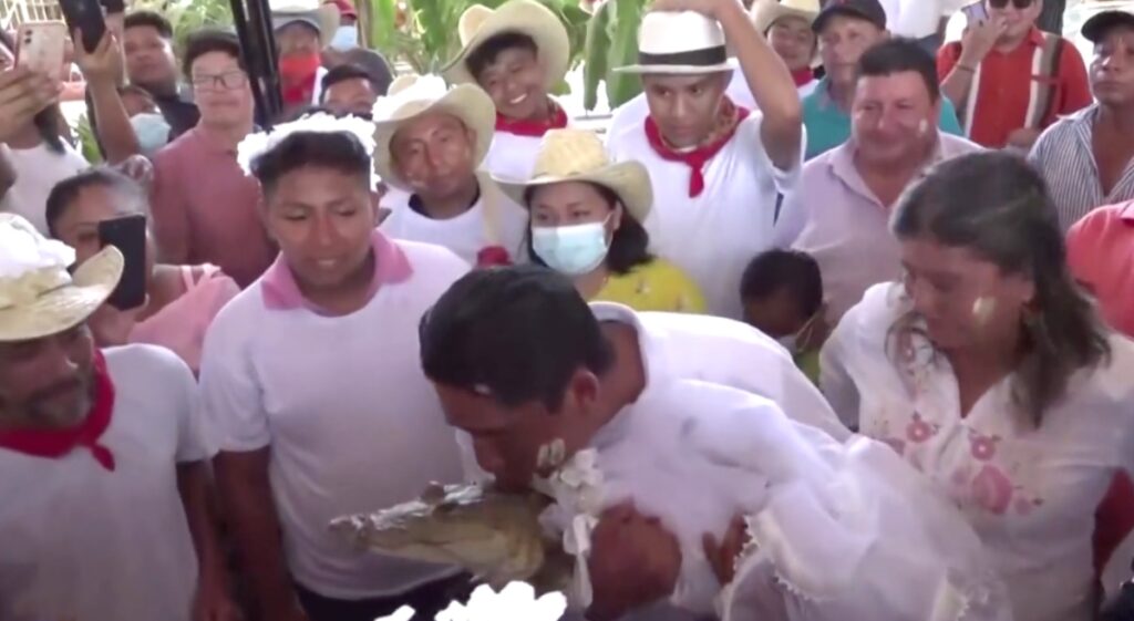 Como parte de ritual ancestral, alcalde de comunidad en Oaxaca se casa... con un caimán