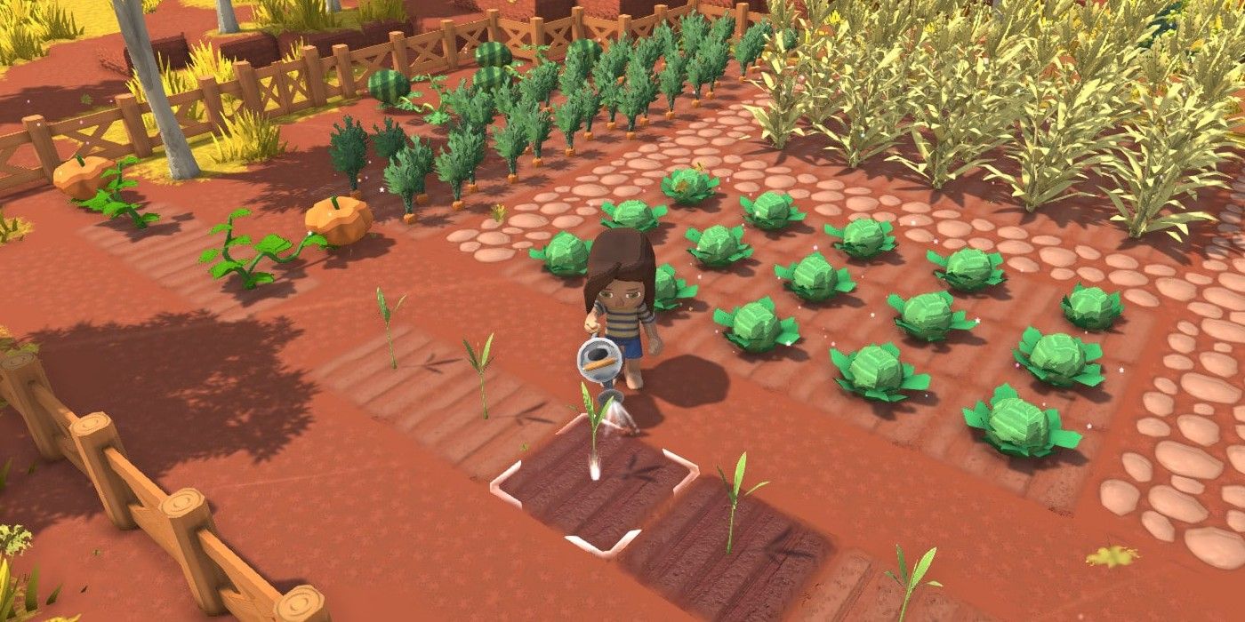 Cómo plantar semillas en Dinkum