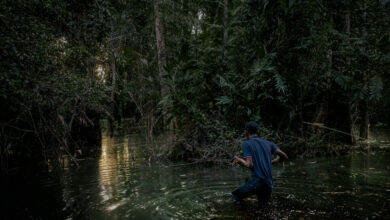Congo subastará bloques de petróleo y gas en un paso atrás por el cambio climático