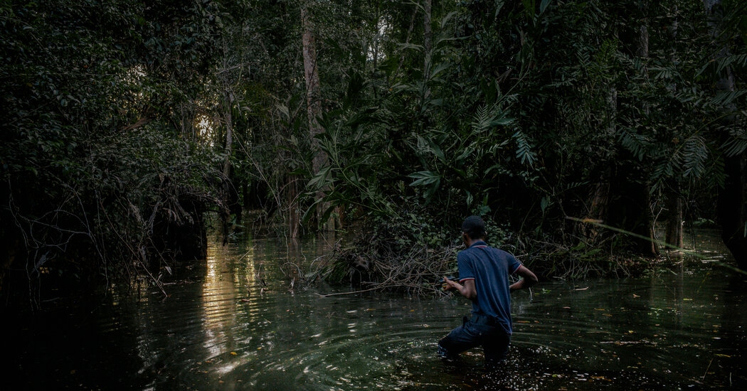Congo subastará bloques de petróleo y gas en un paso atrás por el cambio climático