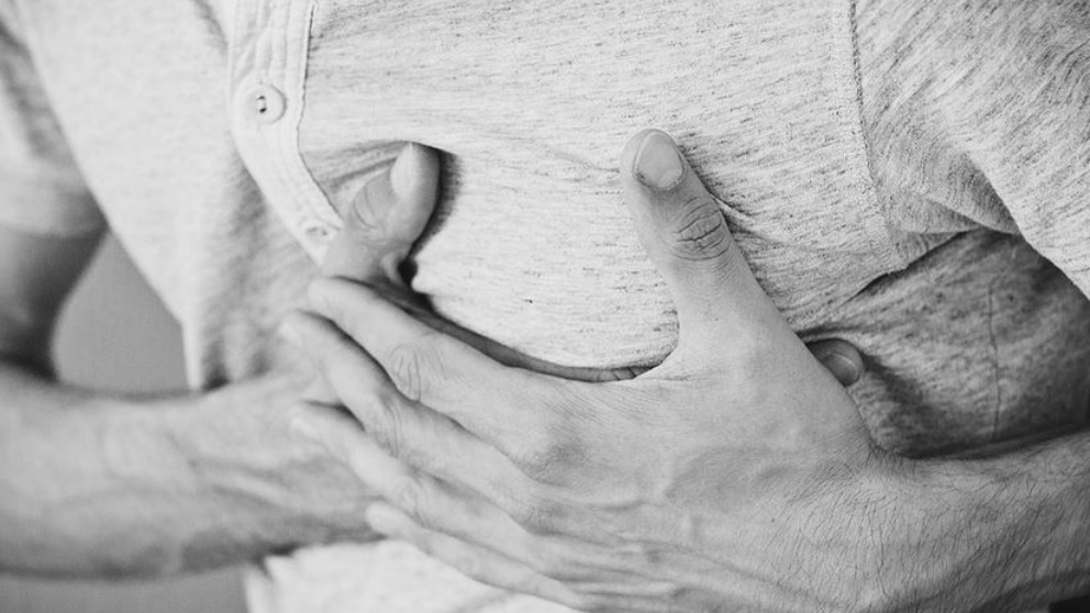 Descubre por qué los humanos sufrimos ataques de corazón y no otras especies