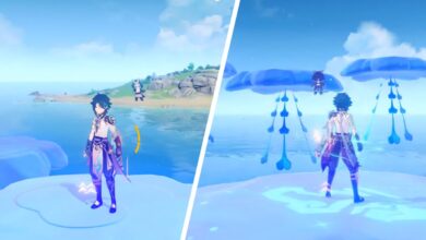 Dónde encontrar todas las medusas flotantes en Genshin Impact