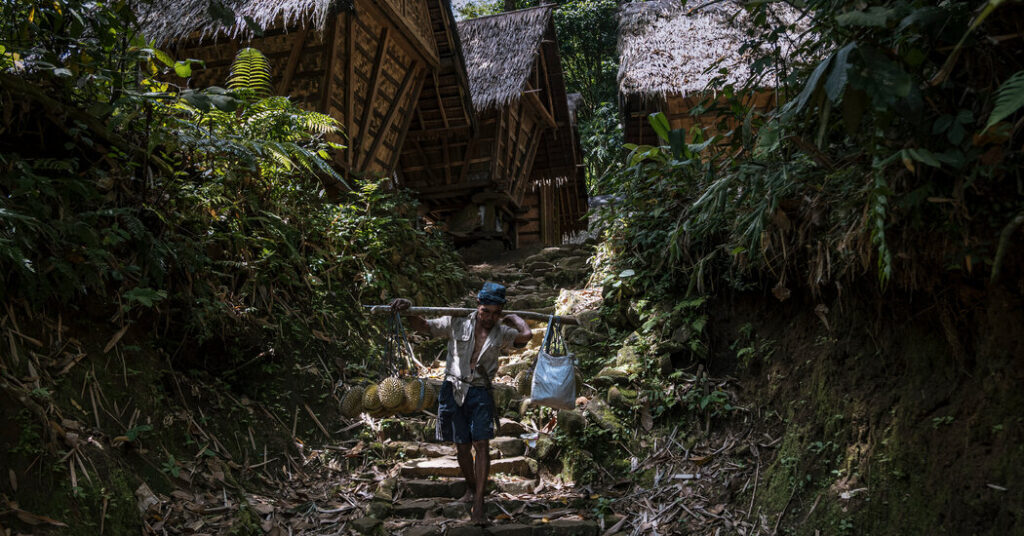 Donde los mantras triunfan sobre la medicina y las vacunas son una 'violación'