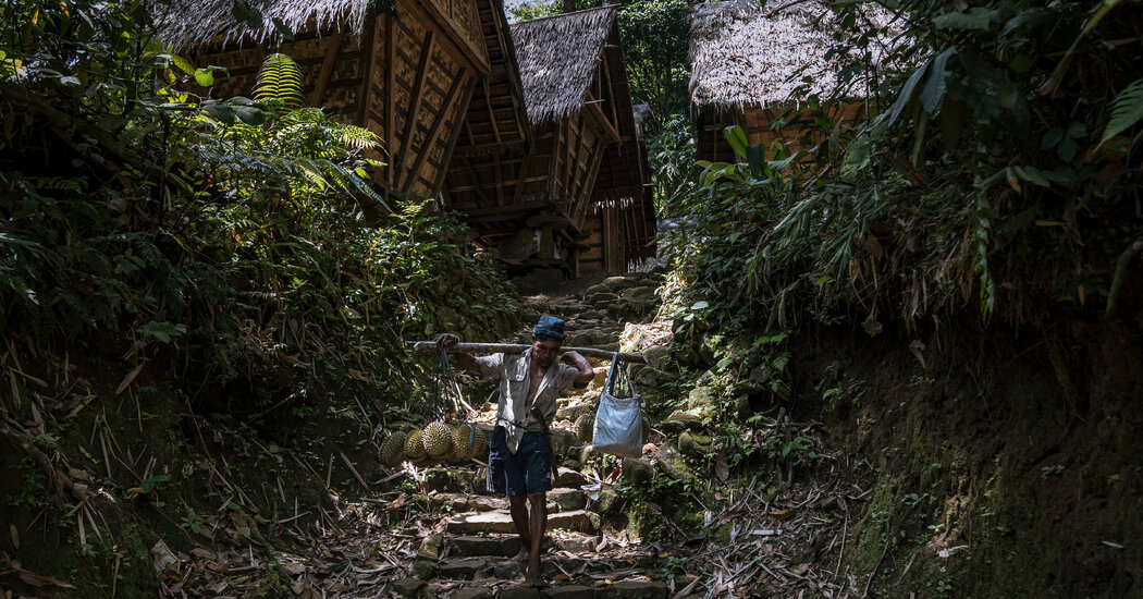 Donde los mantras triunfan sobre la medicina y las vacunas son una 'violación'