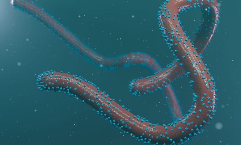 Dos personas dan positivo por el virus de Marburgo, altamente infeccioso, en Ghana