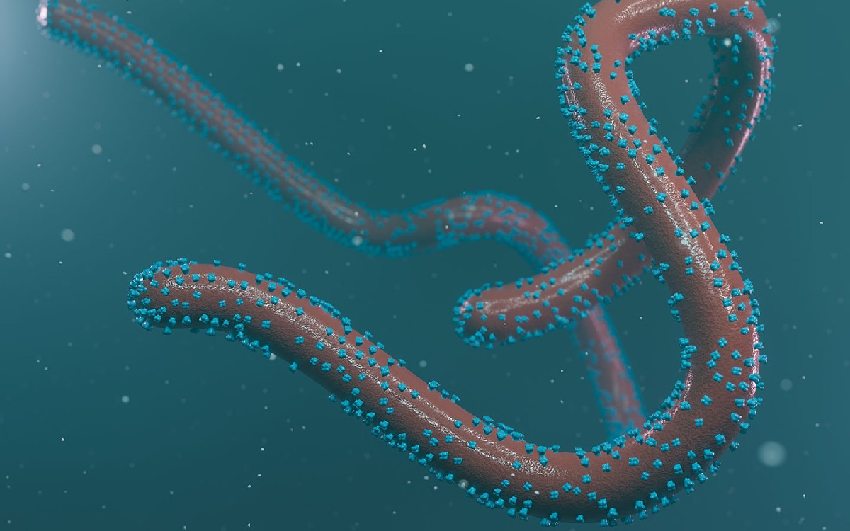 Virus de Marburgo registra brote en Guinea Ecuatorial; hay 9 muertos