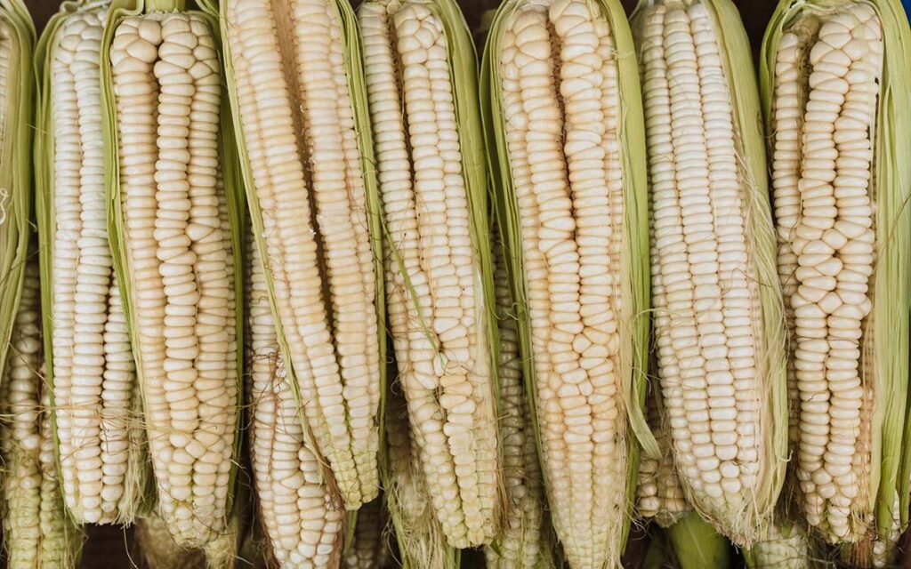 Dos semanas de ganancias de millonarios podrían solucionar crisis alimentaria en África Oriental por inflación: Oxfam