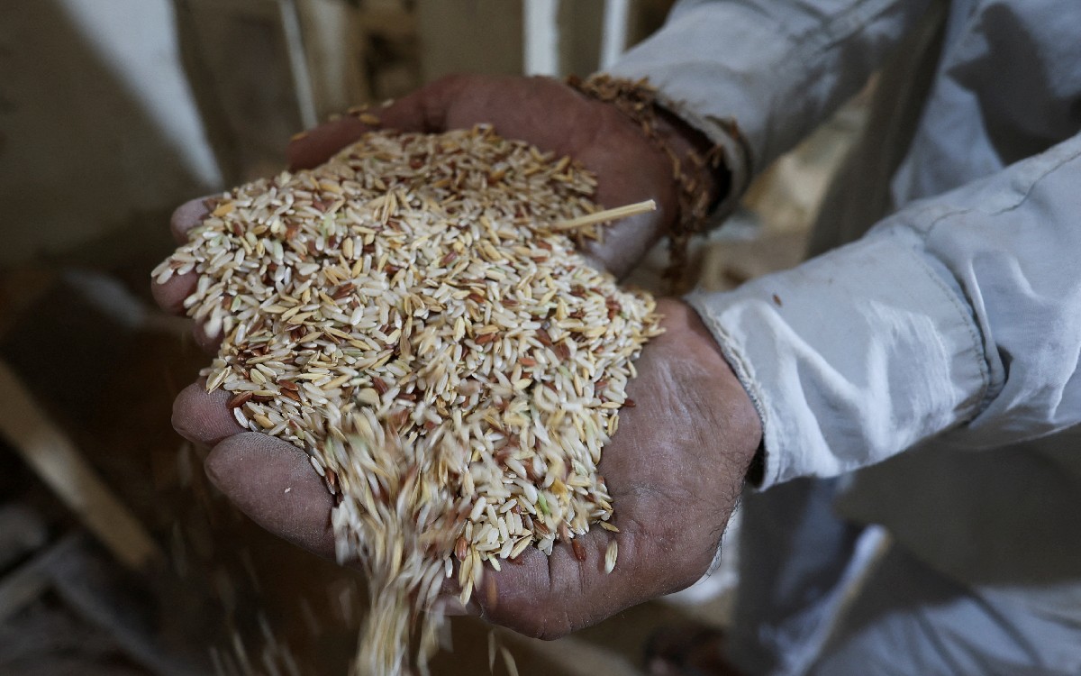 EU denuncia a China por acopio de granos y dice que vigilará compromisos de Rusia