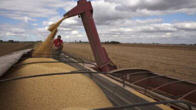 El Banco Central argentino crea un “dólar soja” para que el campo acelere la liquidación de la cosecha