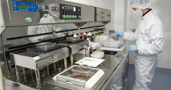 El Banco Mundial invertirá u$s 200 millones en startups argentinas: cómo es el nuevo plan