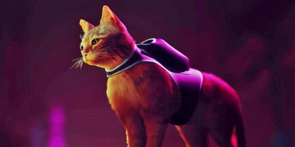 El editor de Stray, Annapurna, albergará un Pop-Up Cat Cafe en Nueva York