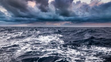 El mercado de NFT OpenSea despide al 20 por ciento de su personal: 'hemos entrado... criptoinvierno'
