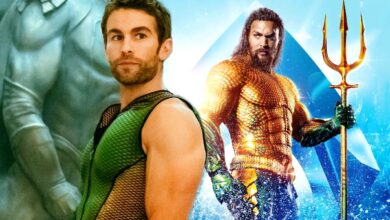 El nuevo Aquaman de DC está corriendo con The Boys 'Dolphin Romance