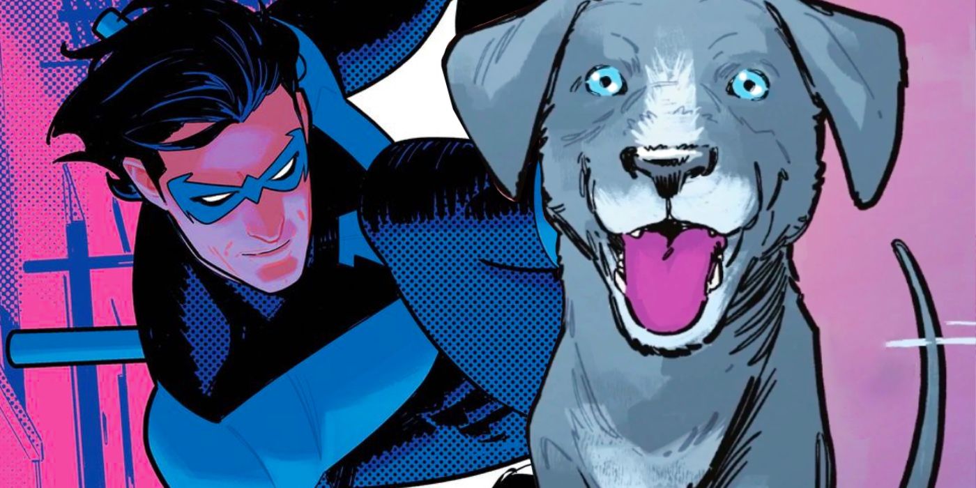 El perro de Nightwing acaba de tomar su lugar en la historia de DC con un  panel – La Neta Neta