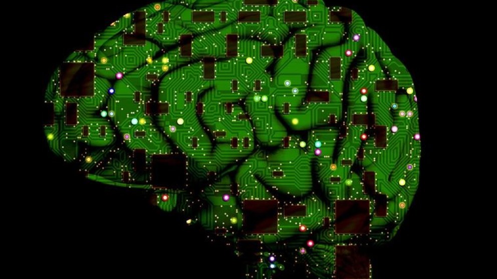 El sentido del tacto surge en el cerebro antes de nacer