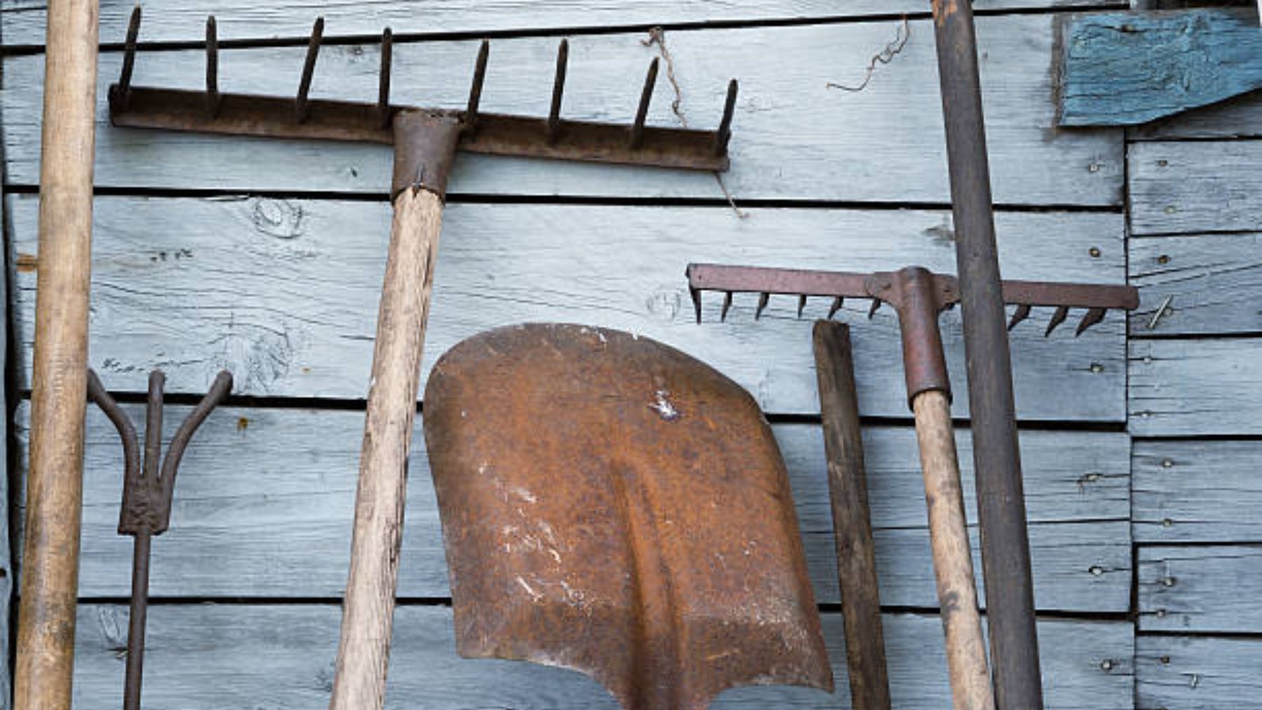 El sorprendente truco para quitar el óxido de las herramientas del jardín