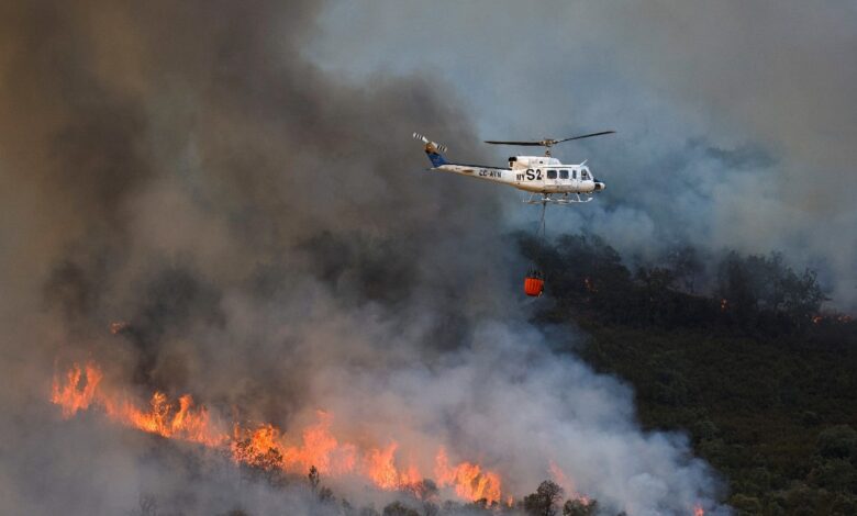 Emergencia nacional por calor extremo en Reino Unido, mientras incendios arrasan Francia, España y Portugal | Video
