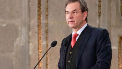 Estados Unidos dará 260 mil visas para trabajadores agrícolas: Moctezuma Barragán