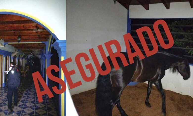 Fiscalía de Edomex asegura cuatro mansiones de lujo con lagos y animales exóticos en Amatepec y Tlatlaya