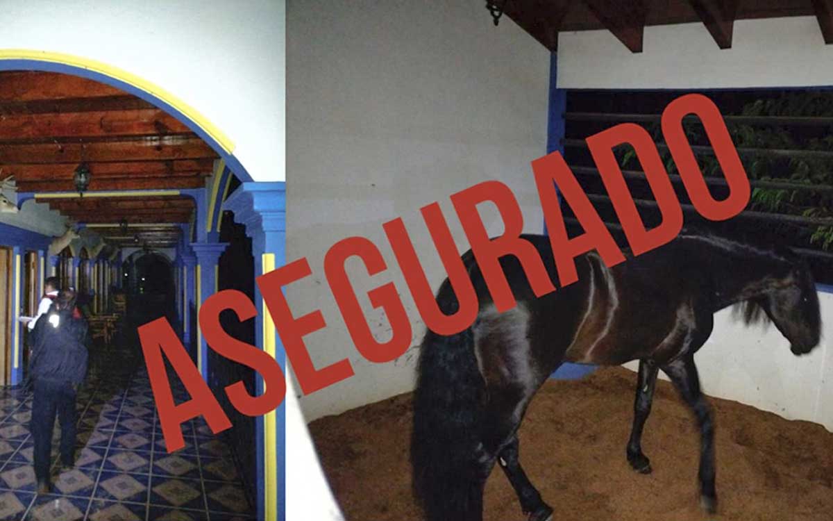 Fiscalía de Edomex asegura cuatro mansiones de lujo con lagos y animales exóticos en Amatepec y Tlatlaya