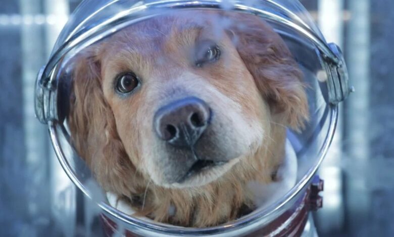 Guardianes de la Galaxia 3: Gunn defiende a Cosmo El perro espacial Cambio de género