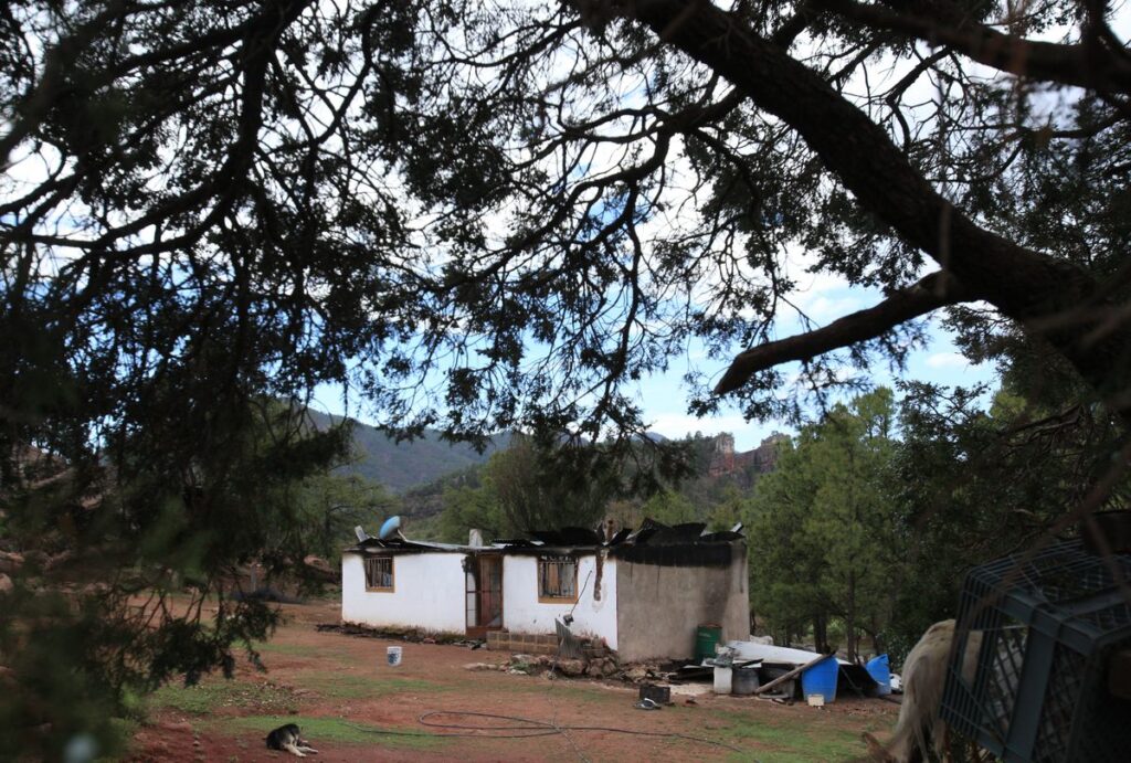 Hallados los hermanos Berrelleza, secuestrados por El Chueco el día de terror en la sierra Tarahumara