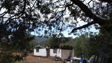 Hallados los hermanos Berrelleza, secuestrados por El Chueco el día de terror en la sierra Tarahumara